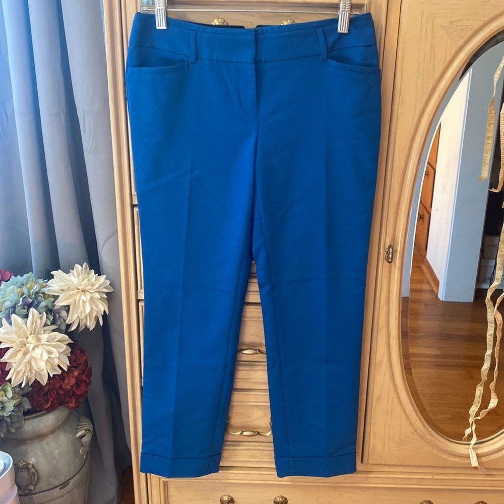 Express Dress Pants